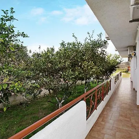 Bekiri's Alykanas (Zakynthos)